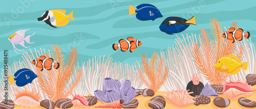 vector drawing tropical fishes, corals and water, aquarium, hand drawn illustration