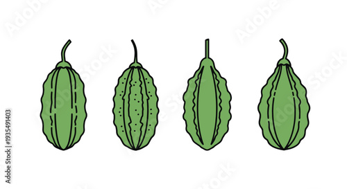 Bitter gourd Line art vector creative abstract design illustration