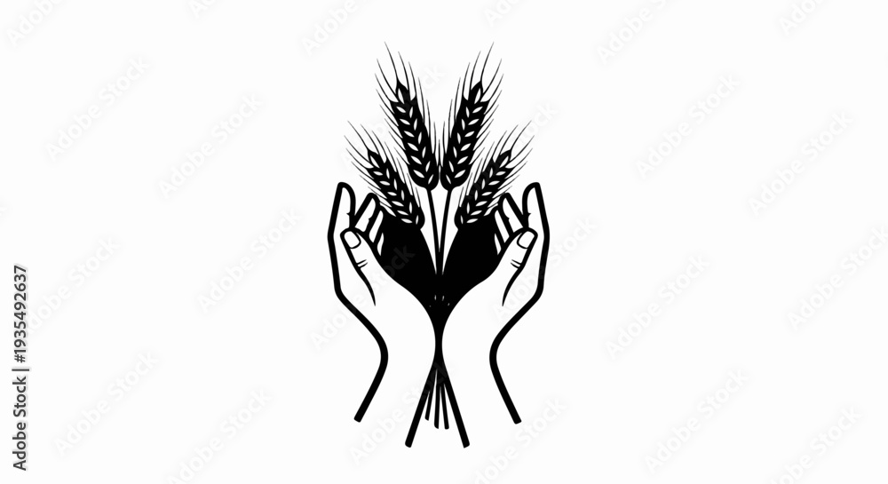 Obraz premium Two cupped hands hold a sheaf of wheat stalks