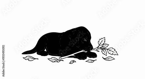 A black puppy lies down chewing on a leafy branch with scattered leaves