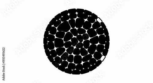 Abstract black and white pebble pattern forming a circular shape