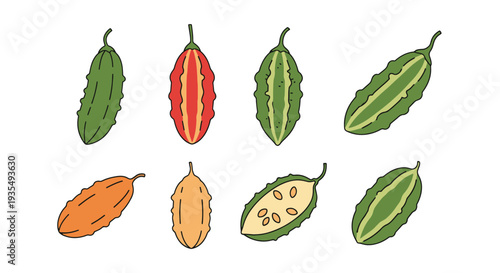 Bitter gourd Line art vector creative abstract minimal