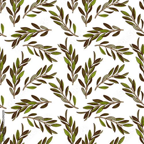 Vegetable seamless pattern with olive branches with leaves.