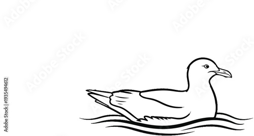 Sketch of a seabird floating serenely on rippling water