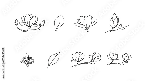 Botanical floral border collection with magnolia style blossoms and elegant line details