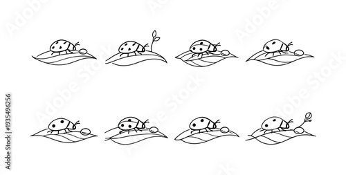 "Botanical Close-Up with Ladybug". Minimalistic set one-line drawing tiny ladybug on curved leaf, enlarged