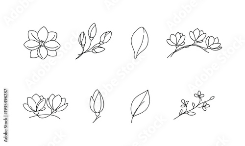 Minimal floral horizontal divider set with leaves and decorative botanical accents