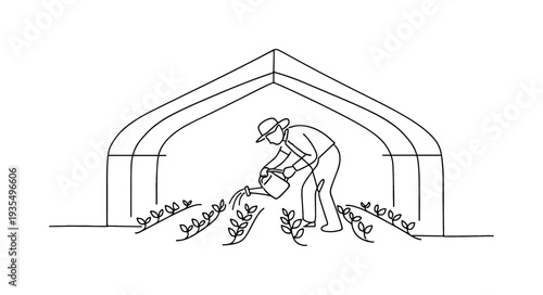 Farmer working with plants inside greenhouse structure.