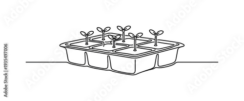 Seedling tray with young sprouting plants illustrating gardening, agriculture and sustainable plant cultivation concept
