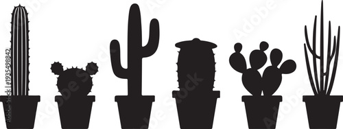 A row of potted cacti and succulents in black silhouette