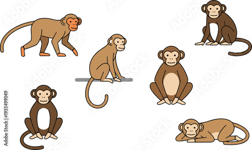 Flat vector set of brown monkeys featuring a walking macaque a sitting primate and a monkey lying down for wildlife education