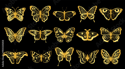 Collection of golden decorative silhouettes of butterflies, night moths. Vector graphics.