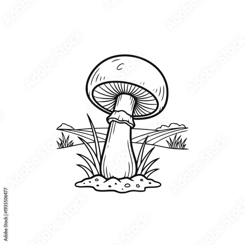 A single wild mushroom grows upward from the soil surrounded by simple grass blades in a stylized field drawing.