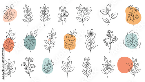 Large collection of diverse botanical sketches including leaves and small flowers in black ink with soft colorful background blobs.