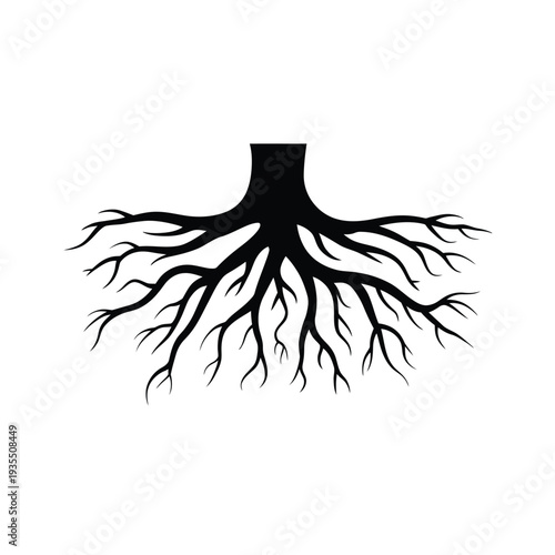A stark black silhouette of tree roots spreading across a white background