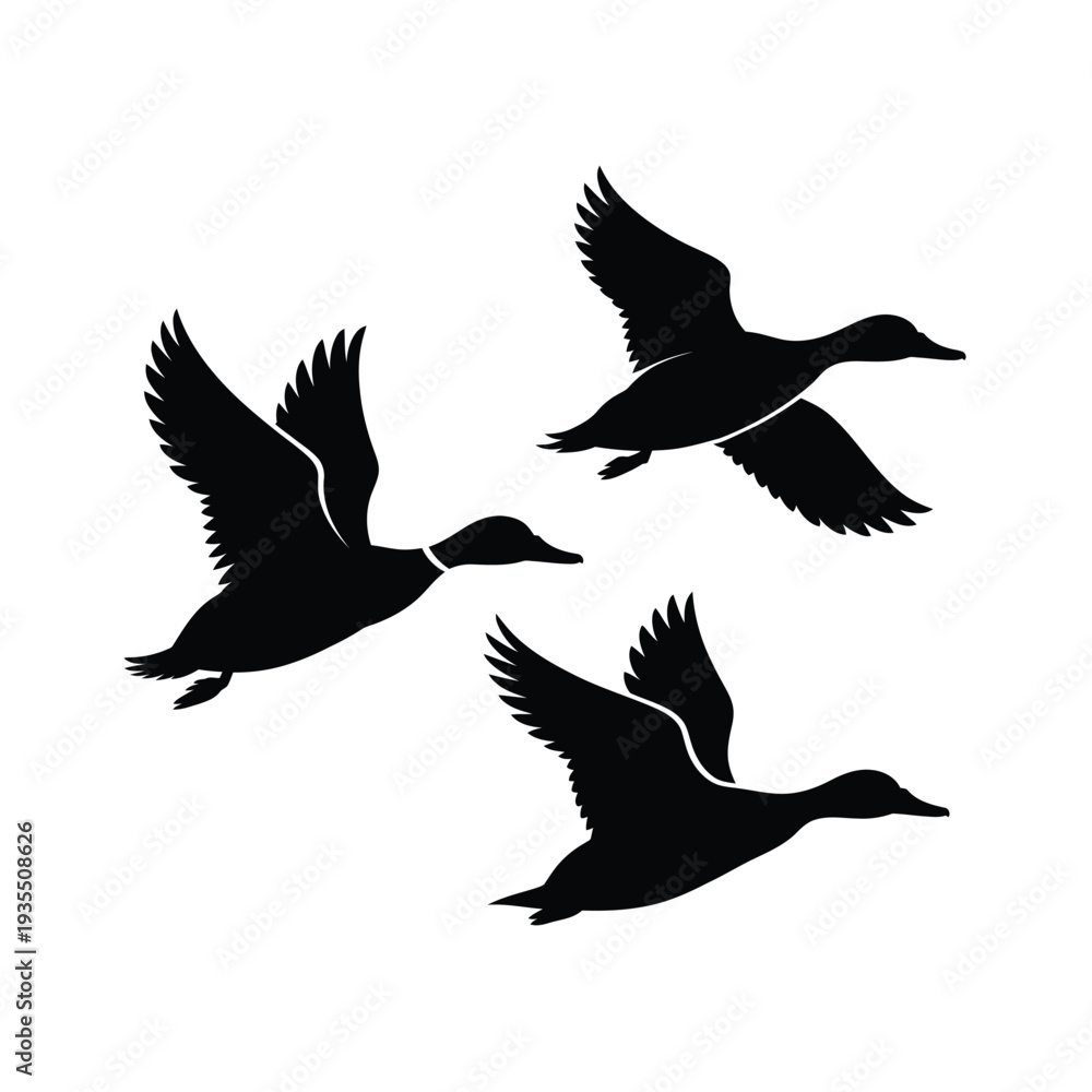 Obraz premium Three black silhouettes of ducks in flight against a white background