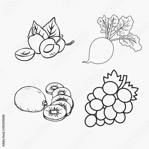 A sketch of four types of fruit including grapes and kiwis