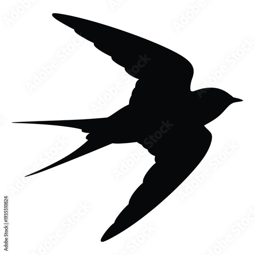 Flying swallow bird silhouette isolated on white background for logo