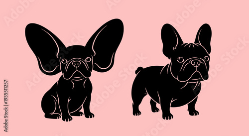 Black French Bulldog Illustrations with Large Ears.
