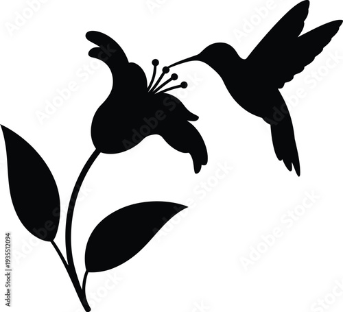 Hummingbird Silhouette Feeding on Lily Flower Bloom