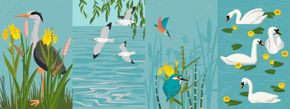 Obraz premium vector drawing set of hand drawn illustrations with river birds and landscapes , natural wildlife compositions with grey heron, swans, kingfishers and seagulls, , hand drawn illustration