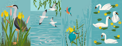 vector drawing set of hand drawn illustrations with river birds and landscapes , natural wildlife compositions with grey heron, swans, kingfishers and seagulls, , hand drawn illustration