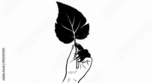 Hand holding a dark leaf with visible veins against a white background