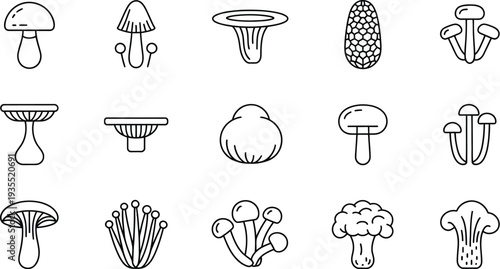 Set of 15 mushroom icons vector