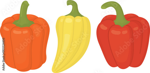 Set of three bell peppers - orange, yellow and red. Illustration of bright vegetables isolated on white background