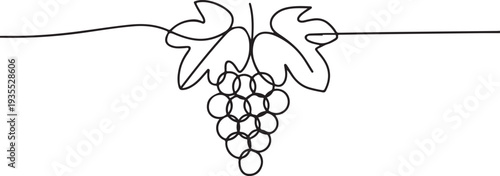 Grapes in continuous line art drawing style. Black line sketch on white background. Vector illustration