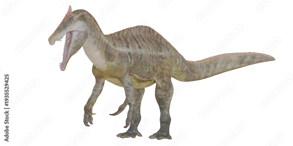 Fototapeta premium Majestic dinosaur in a classic roaring pose.