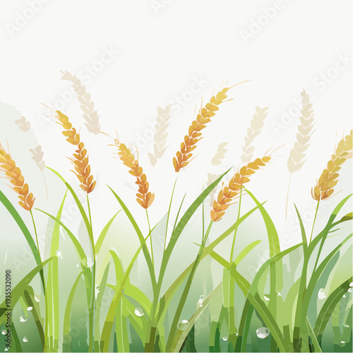 Golden wheat field with dew drops and green grass illustration, peaceful nature background