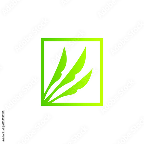 Square dove feathers icon logo design, simple and feminine style, organic feels for sustainable business