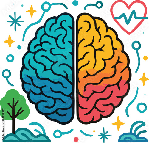 A stylized, colorful illustration of a human brain, split down the middle into two distinct halves.