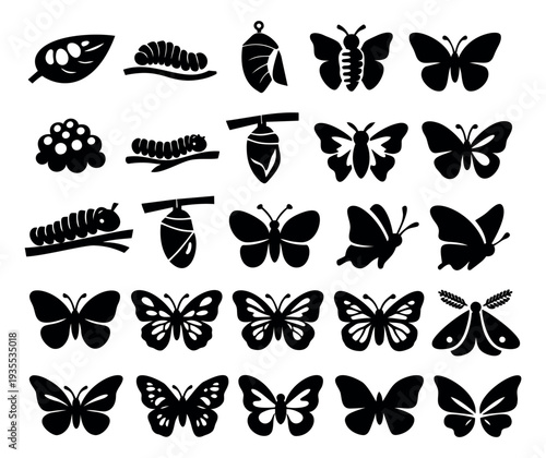 Minimalist silhouette butterfly life cycle set featuring eggs, caterpillars, pupae, and various butterfly and moth illustrations for nature education