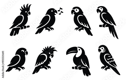 Stylized graphic tropical bird set featuring various parrots and a toucan for wildlife themes