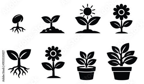 Minimalist graphic plant growth icons set featuring seed germination to flowering and potted plants for nature, gardening, and development concepts