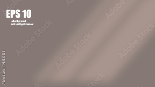 3D  with soft spotlight shadow and reflective floor