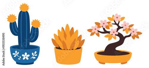 Modern flat illustration potted plants set featuring a cactus, a succulent, and a bonsai tree for home decor
