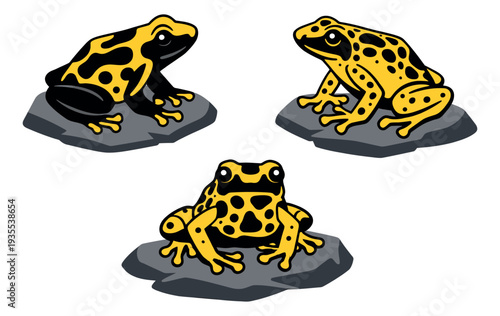 Cartoon style frog set featuring three yellow and black frogs on rocks for nature and wildlife themes