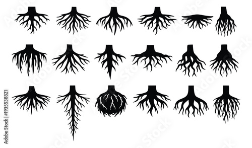 Graphic tree roots set featuring various shapes and forms for nature and growth concepts