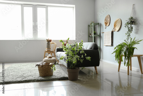 Interior of light living ro...