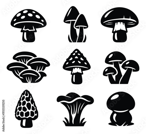 Graphic mushroom icon set featuring diverse fungi species for nature, food, and web design