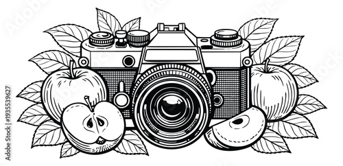Hand drawn line art illustration of a vintage camera depicting an arrangement with apples and leaves for natural photography themes