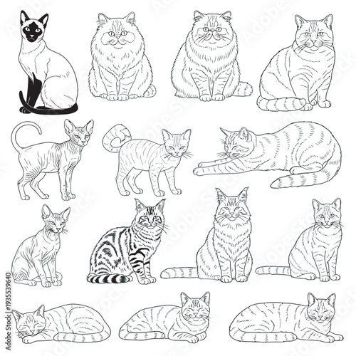 Funny cartoon cat set vector illustration doodle icons pattern design pets animals