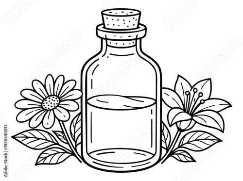 Hand drawn line art illustration of a botanical essential oil bottle depicting natural beauty and wellness for herbal medicine and spa product designs