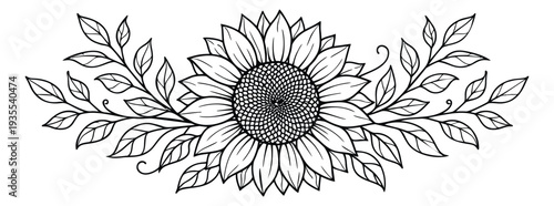Hand drawn line art illustration of a sunflower depicting a floral border for natural decoration