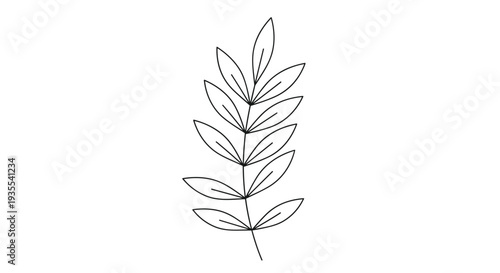 Simple black and white line drawing of a leafy plant branch with several oval leaves arranged along a central stem on white background.