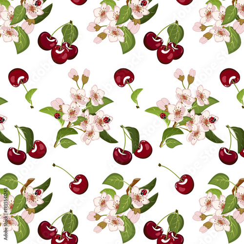 Cherry flowers and berries on a white background.Colored vector pattern with flowers and cherries on a white background.