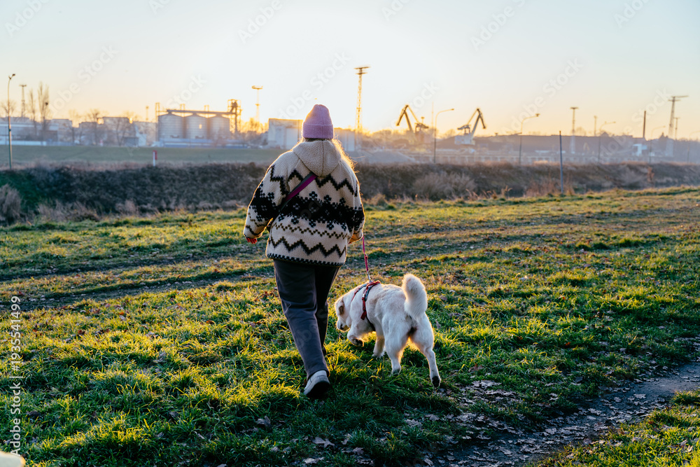 Obraz premium Back view blonde white woman walking retriever dog across grassy embankment at sunset